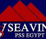 Seavin Logo