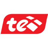 Telecom Egypt Logo
